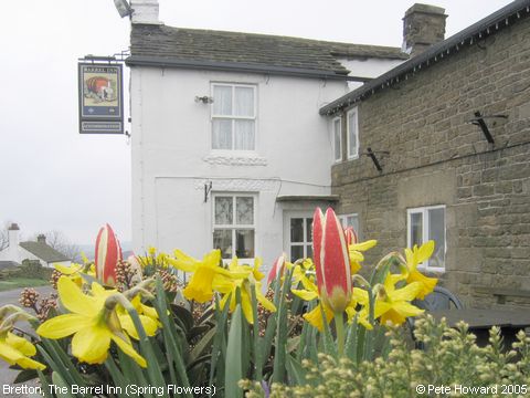 Recent Photograph of Spring Flowers at The Barrel Inn (Bretton)