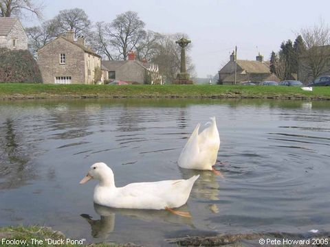 Recent Photograph of The "Duck Pond" (Foolow)