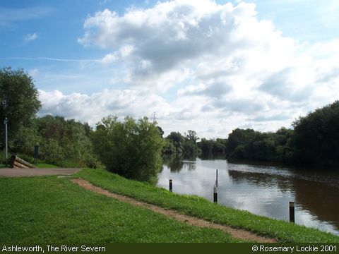Recent Photograph of The River Severn (Ashleworth)