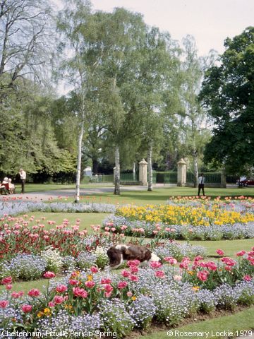 Recent Photograph of Pittville Park in Spring (Cheltenham)