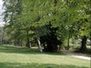 Pittville Park in Summer