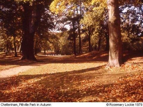 Recent Photograph of Pittville Park in Autumn (Cheltenham)