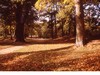 Pittville Park in Autumn