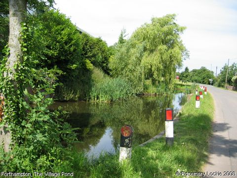 Recent Photograph of The Village Pond (Forthampton)