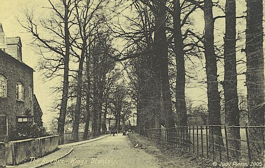 Old Postcard of The Avenue (Kings Stanley)