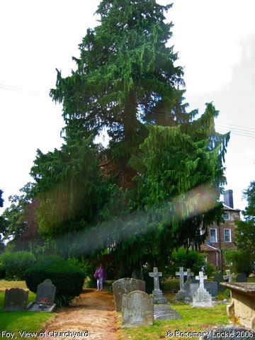 Recent Photograph of View of Churchyard (Foy)