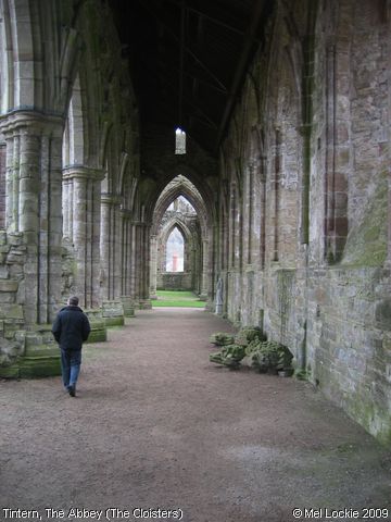 Recent Photograph of The Abbey (The Cloisters) (Tintern Abbey / Chapel Hill)
