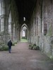 The Abbey (The Cloisters)