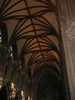 The Cathedral (The Vaulted Ceiling)