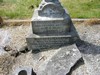 Gravestone of Francis Nelson
