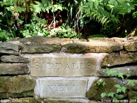 Recent Photograph of Siddalls Well (Curbar)