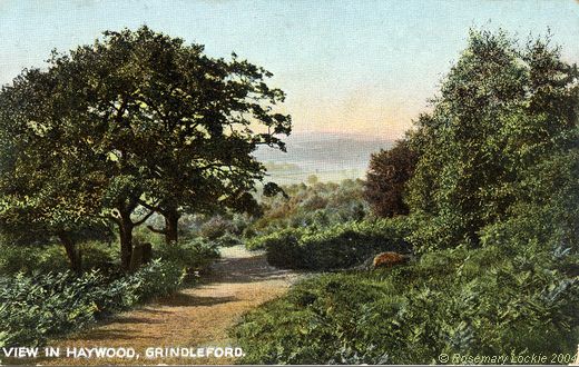 Old Postcard of View in Haywood (Grindleford)