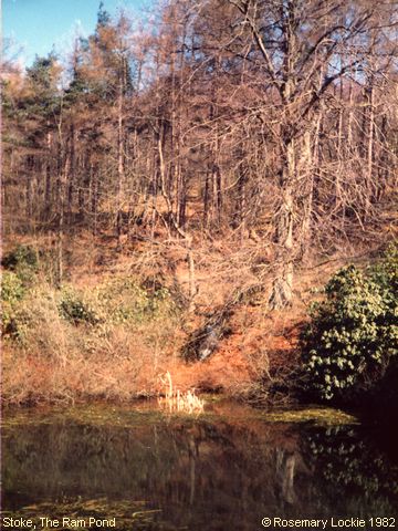 Recent Photograph of The Ram Pond (Mag Clough)