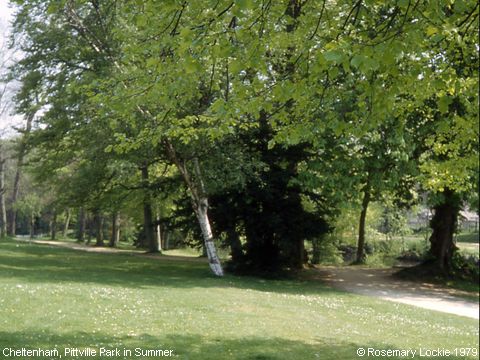 Recent Photograph of Pittville Park in Summer (Cheltenham)