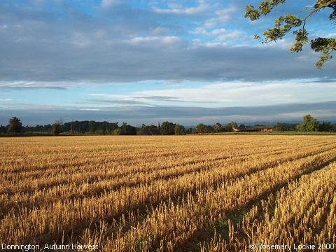 Recent Photograph of Autumn Harvest (Donnington)