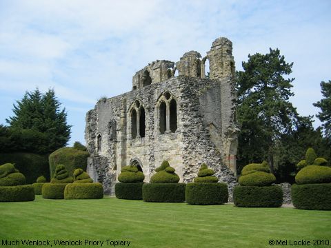 Recent Photograph of Wenlock Priory Topiary (Much Wenlock)