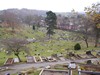 View of the Cemetery
